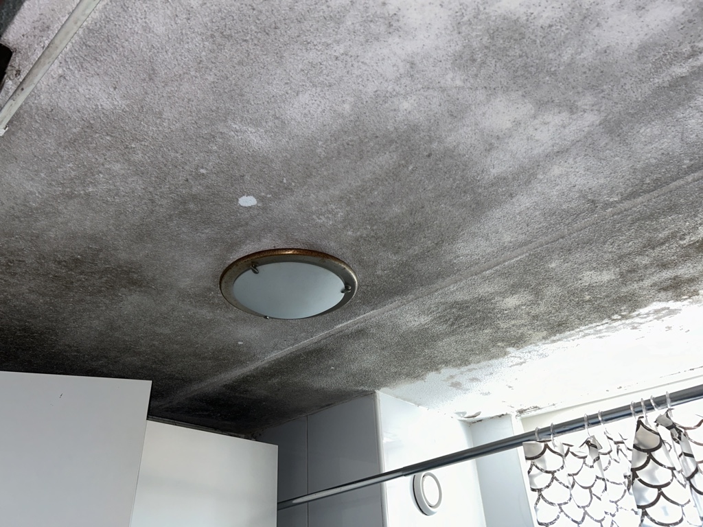 Badkamer schimmel plafond