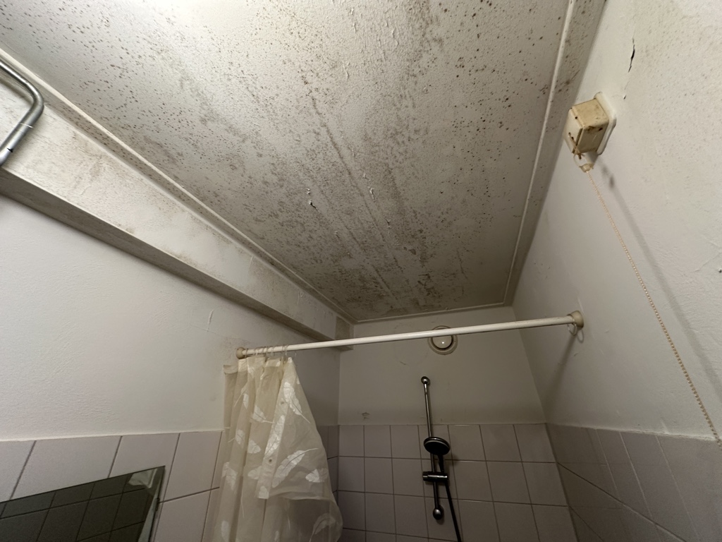 Badkamer schimmel plafond