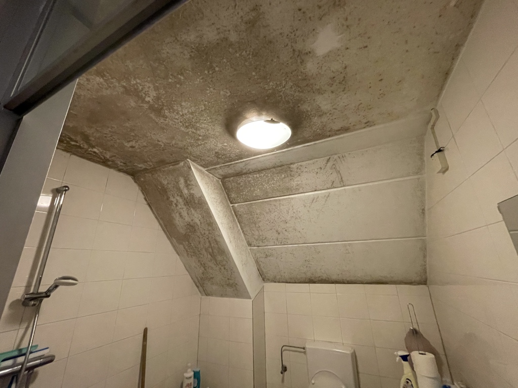 Schimmel badkamerplafond