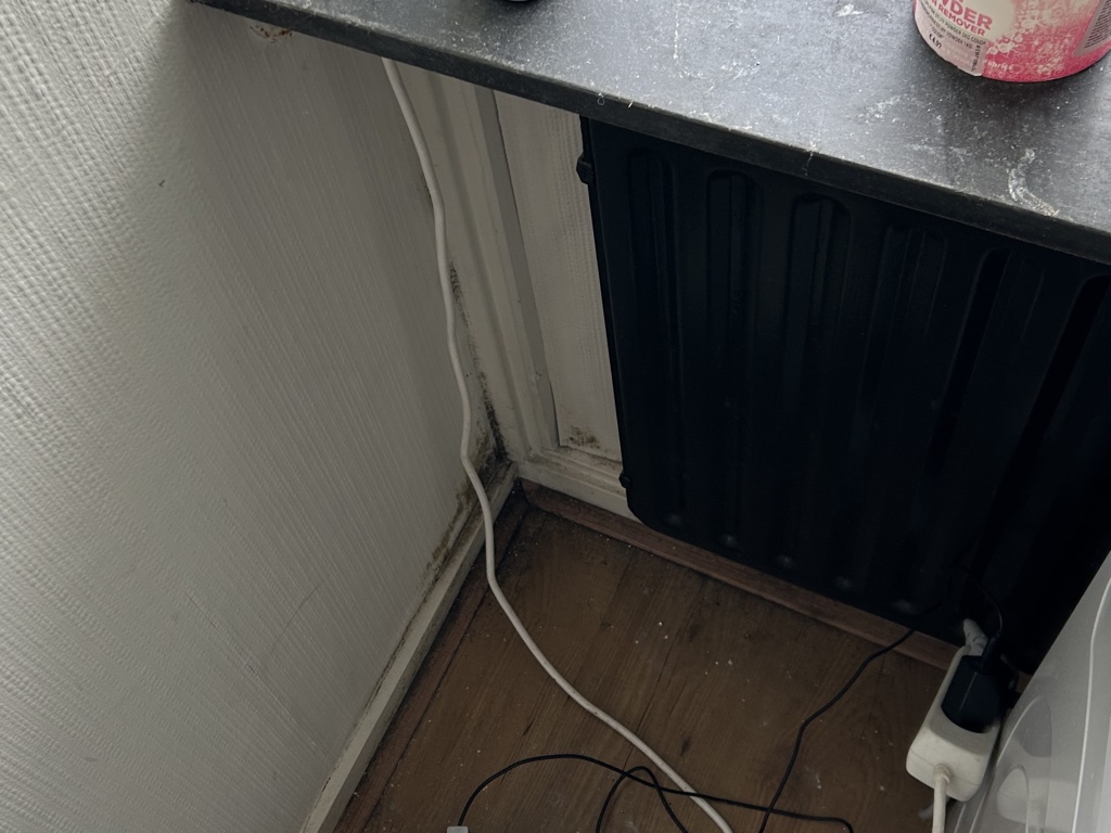 Schimmels op plinten